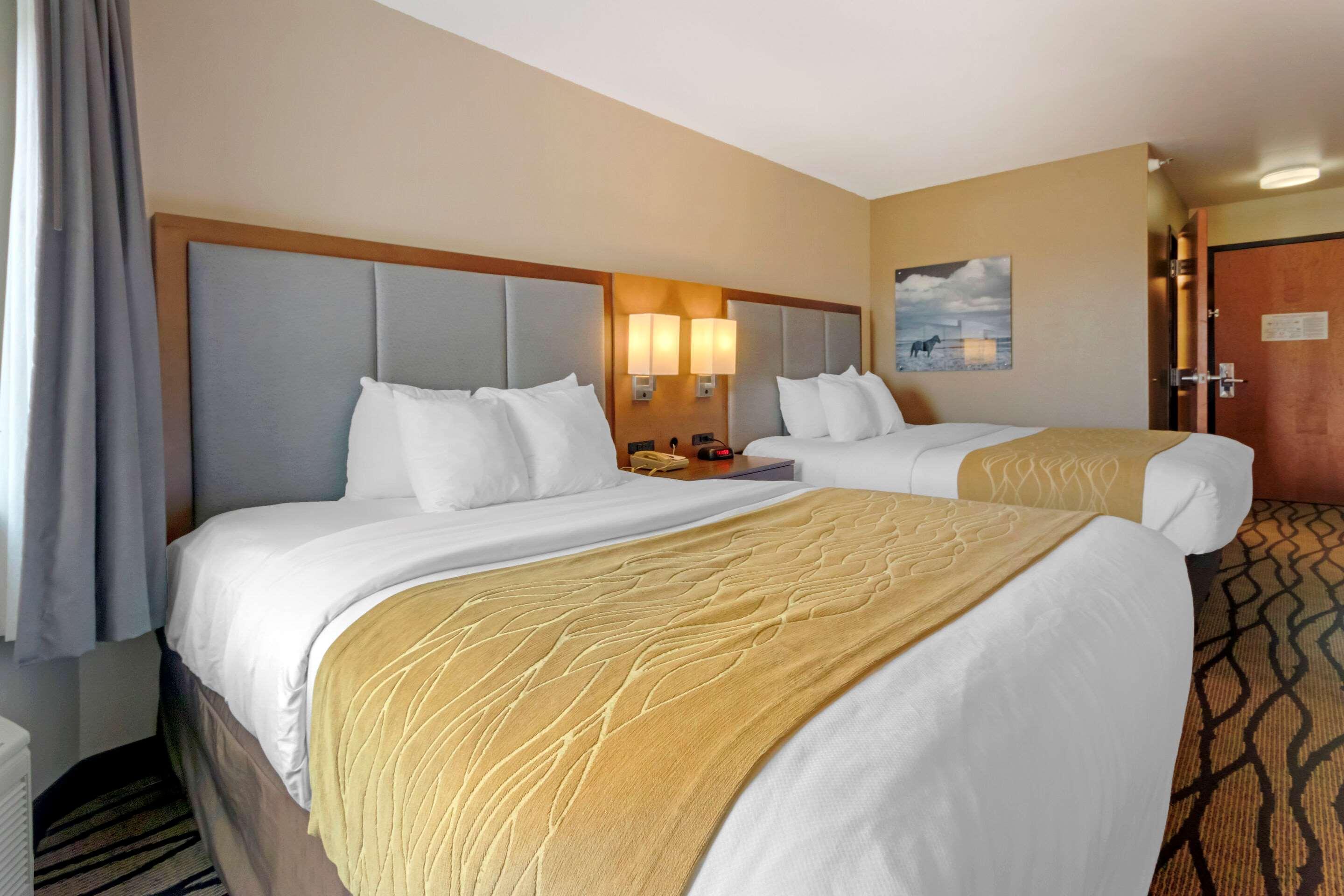 Comfort Inn & Suites Market - Airport Great Falls Extérieur photo